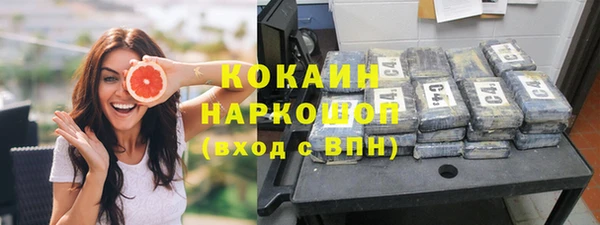 хмурый Пересвет