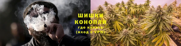 2c-b Пестово