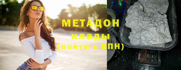 хмурый Пересвет