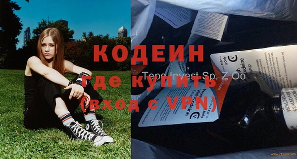 хмурый Пересвет