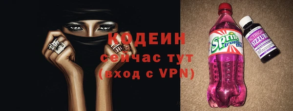 хмурый Пересвет