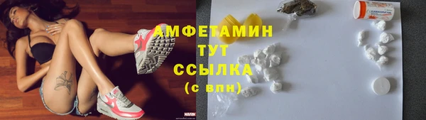 2c-b Пестово