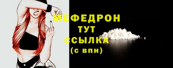 хмурый Пересвет