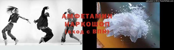 хмурый Пересвет