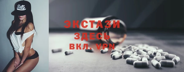 хмурый Пересвет