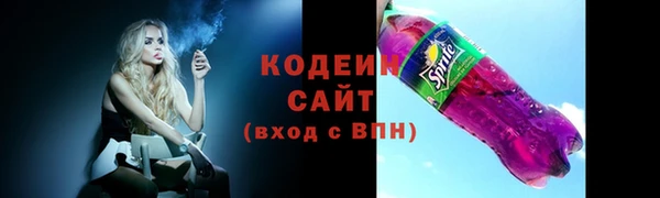 хмурый Пересвет