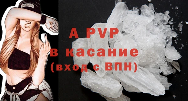 хмурый Пересвет