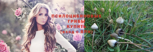 2c-b Пестово