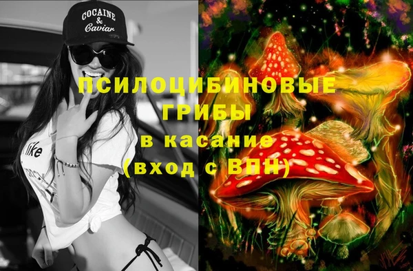 хмурый Пересвет