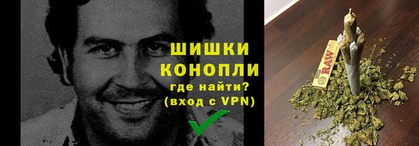 хмурый Пересвет