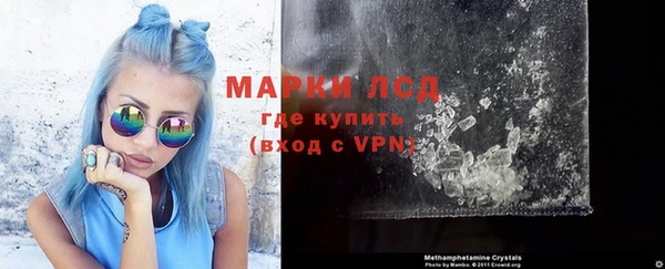 хмурый Пересвет