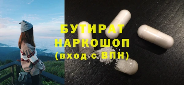 хмурый Пересвет
