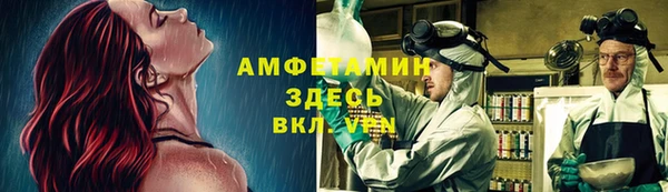 хмурый Пересвет