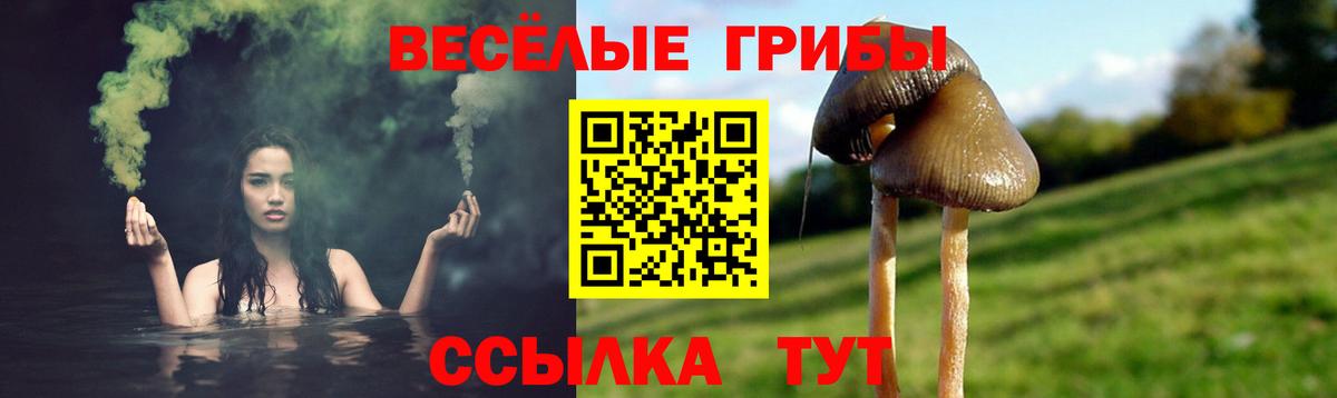 Псилоцибиновые грибы Psilocybine cubensis  Вход с VPN  как найти закладки  Москва 